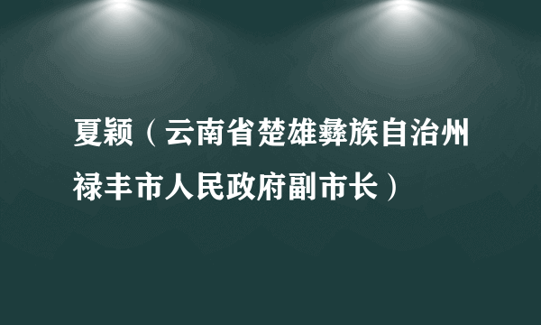 夏颖（云南省楚雄彝族自治州禄丰市人民政府副市长）