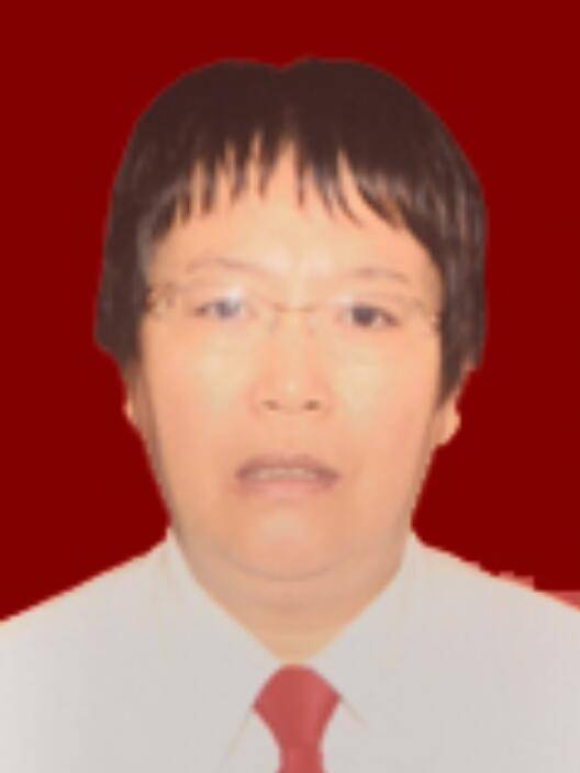 杜海燕(山西省吕梁市柳林县人大常委会副主任、二级调研员)