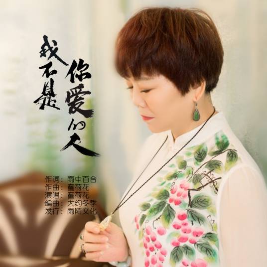 我不是你爱的人（童荷花演唱的歌曲）