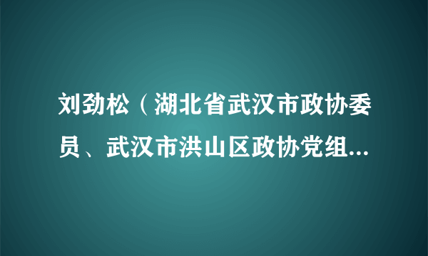 刘劲松（湖北省武汉市政协委员、武汉市洪山区政协党组书记、主席）
