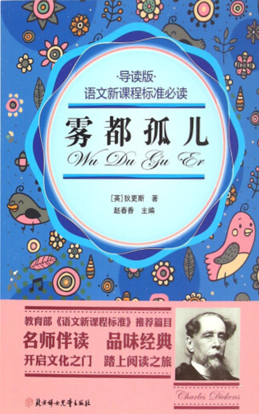 雾都孤儿（2008年北方妇女儿童出版社出版图书）