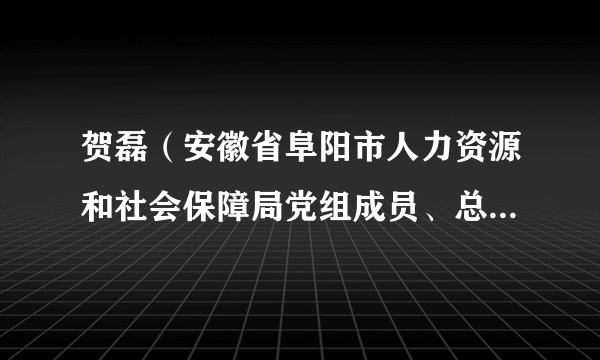 贺磊（安徽省阜阳市人力资源和社会保障局党组成员、总经济师）