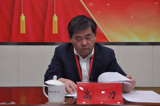 高力（民建青海省委员会副主任委员）