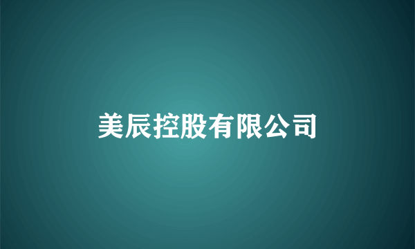 美辰控股有限公司