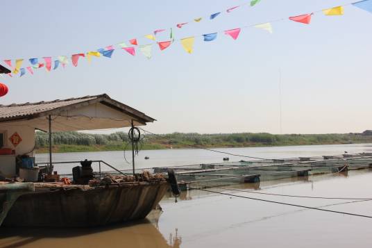 洪楼村（安徽省铜陵市义安区胥坝乡下辖村）
