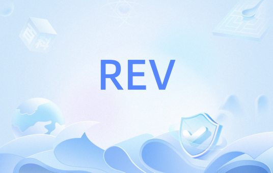 REV（表征体元）