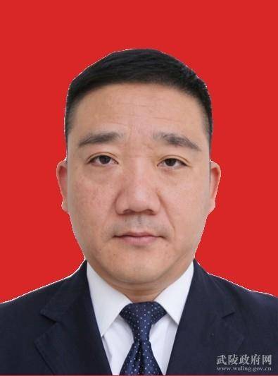 陈维（湖南省常德市武陵区人民政府副区长）