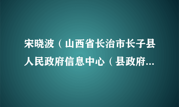 宋晓波（山西省长治市长子县人民政府信息中心（县政府金融工作服务中心、县数字政府服务中心）副主任）