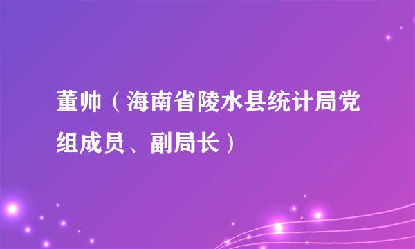 董帅（海南省陵水县统计局党组成员、副局长）