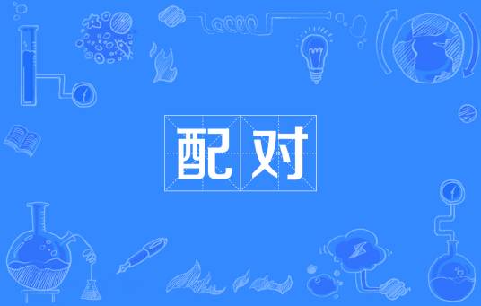 配对（网络流行词、ACGN同人圈用语）
