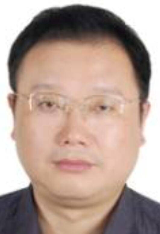 陈朝阳（中国科学院广州能源研究所研究员）