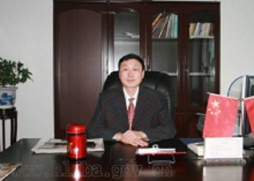 王雪峰（黑龙江省北安市人大常委会原副主任）