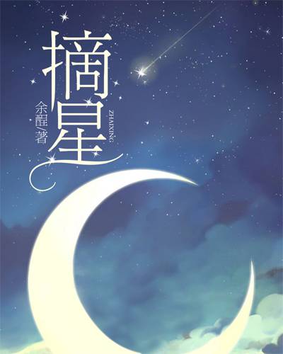 摘星（余酲创作小说）