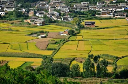 桃源村（云南省大理州剑川县甸南镇下辖村）