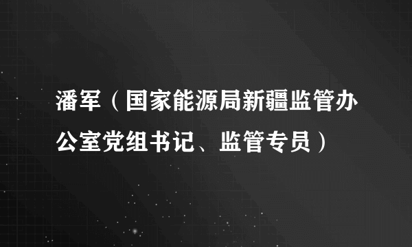 潘军（国家能源局新疆监管办公室党组书记、监管专员）