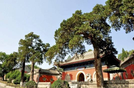 大觉寺（陕西省渭南市大觉寺）