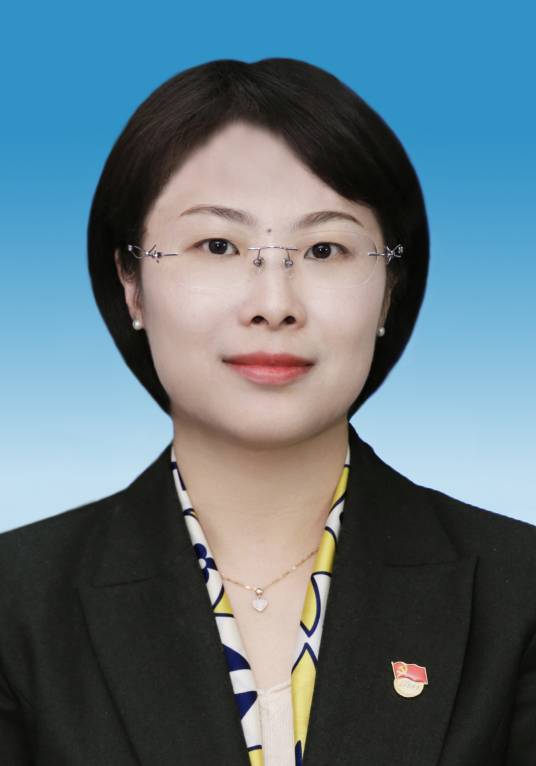 刘琼(黄石市下陆区人民政府党组成员、副区长)