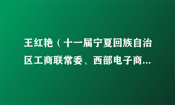 王红艳（十一届宁夏回族自治区工商联常委、西部电子商务股份有限公司董事长）