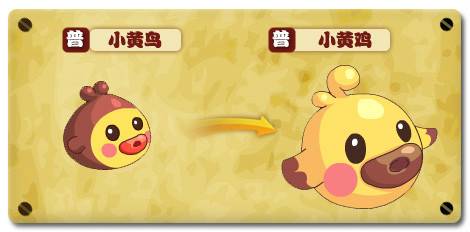 小黄鸡（游戏《热血精灵派》中的精灵）