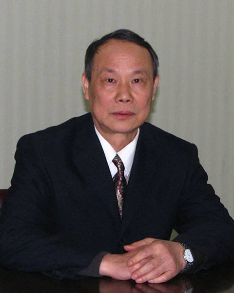 廖洪（武汉大学经济与管理学院会计系教授）