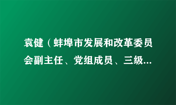 袁健（蚌埠市发展和改革委员会副主任、党组成员、三级调研员）