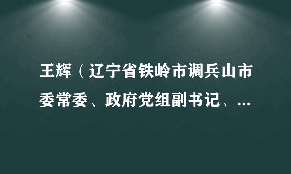 王辉（辽宁省铁岭市调兵山市委常委、政府党组副书记、常务副市长）