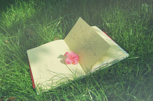 散文（文学体裁）