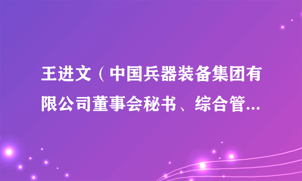王进文（中国兵器装备集团有限公司董事会秘书、综合管理部（党组办公室、董事会办公室）主任）