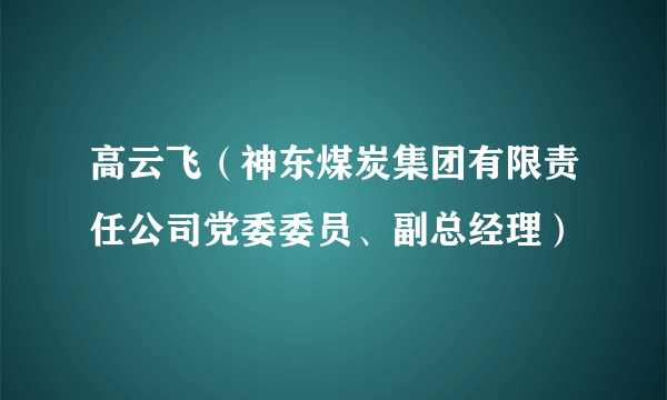 高云飞（神东煤炭集团有限责任公司党委委员、副总经理）