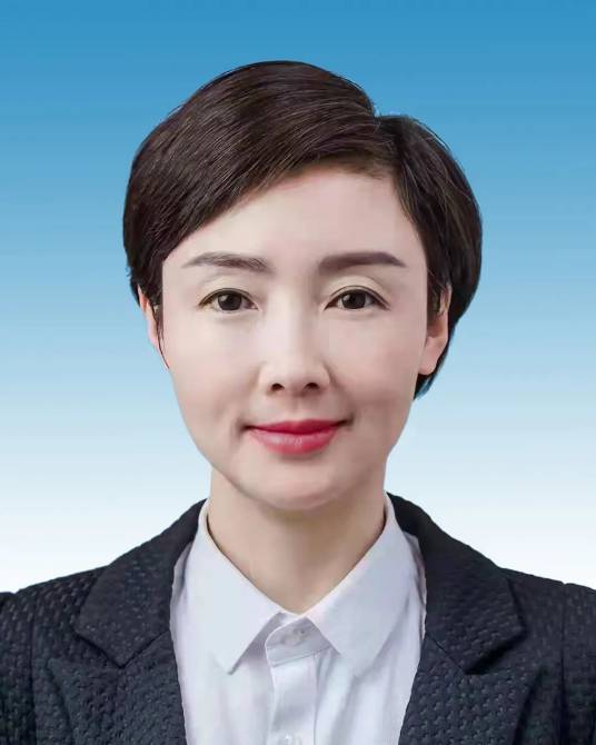 高琳（第十四届全国政协委员，民进重庆市委会副主委、渝中区委会主委，重庆市渝中区人民政府副区长）