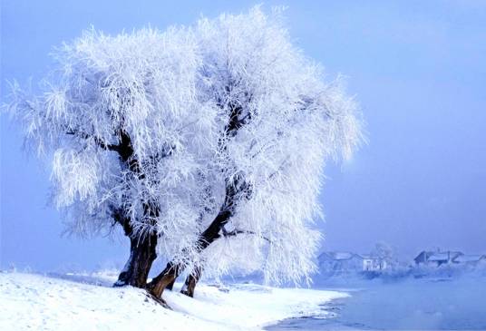 雾凇（水气遇冷凝华而成的自然景观）