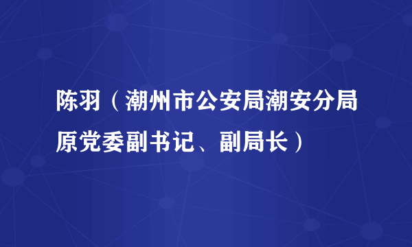 陈羽（潮州市公安局潮安分局原党委副书记、副局长）