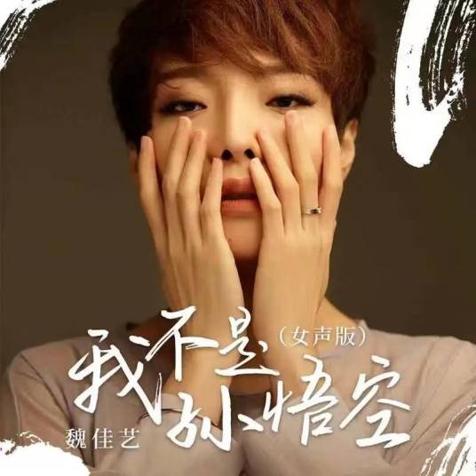 我不是孙悟空（魏佳艺演唱的歌曲）