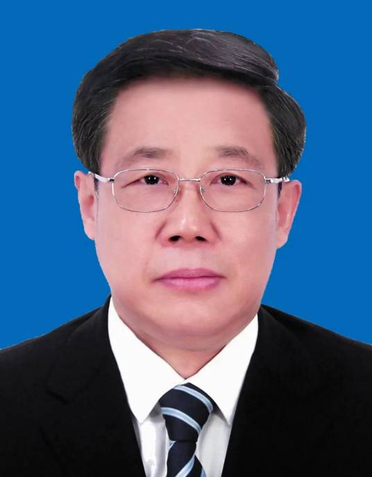 张震宇（第十四届全国政协常委，河南省政协副主席，民进河南省委会主委）