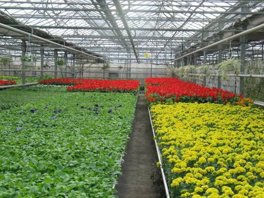 北方现代都市农业示范园