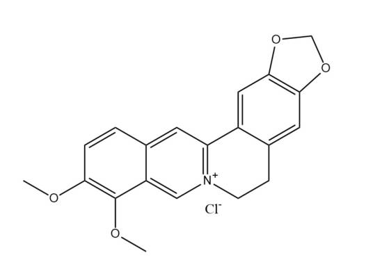 盐酸小檗碱