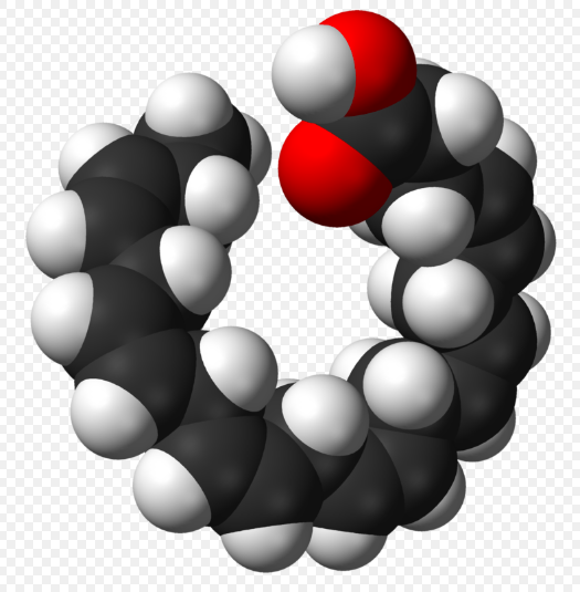 二十二碳六烯酸