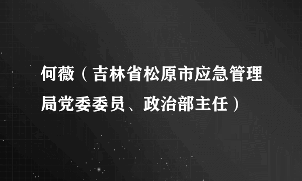 何薇（吉林省松原市应急管理局党委委员、政治部主任）