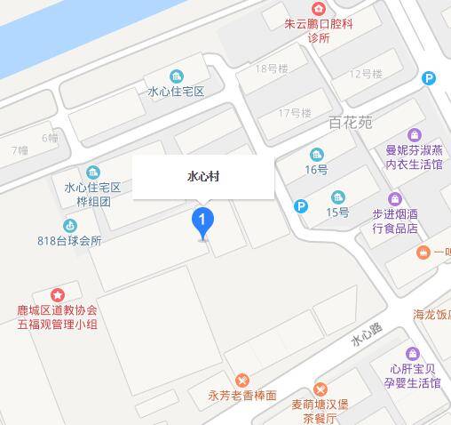 水心村（浙江省温州市鹿城区松台街道下辖村）