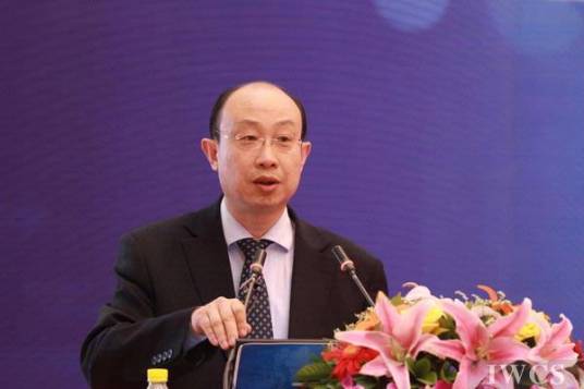 王健（对外经济贸易大学教授、博士生导师）