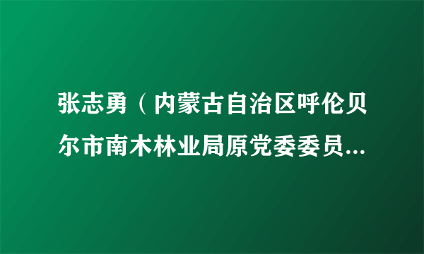 张志勇（内蒙古自治区呼伦贝尔市南木林业局原党委委员、纪委书记）