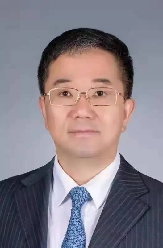 张立(第十四届全国人大代表、外事委员会委员,中国电子信息产业发展研究院院长、党委副书记)