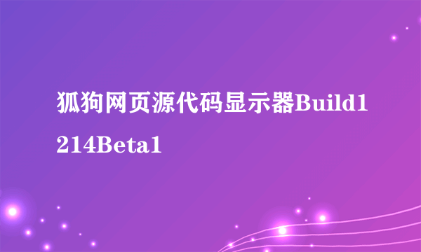 狐狗网页源代码显示器Build1214Beta1