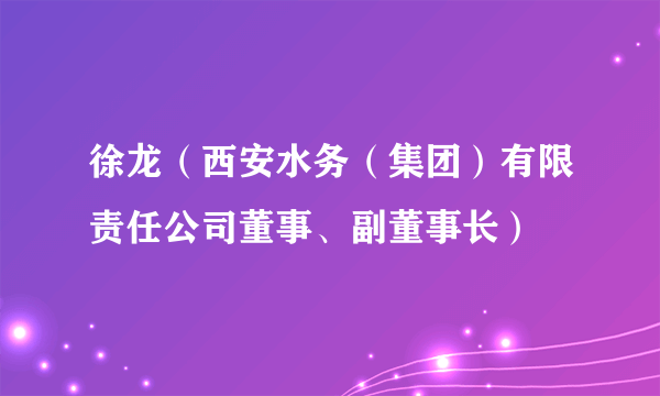 徐龙（西安水务（集团）有限责任公司董事、副董事长）
