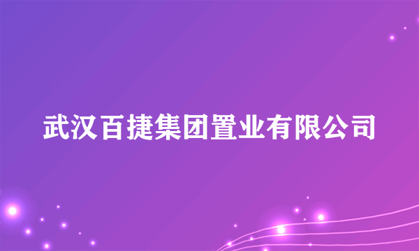 武汉百捷集团置业有限公司