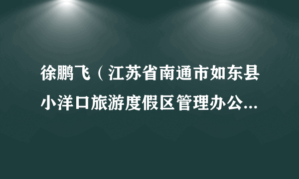 徐鹏飞（江苏省南通市如东县小洋口旅游度假区管理办公室党组成员、副主任）