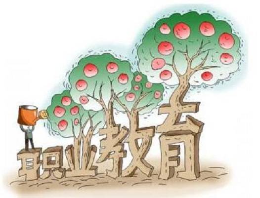 职业教育(国民教育体系和人力资源开发的重要组成部分)