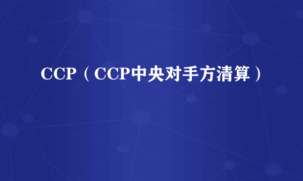 CCP（CCP中央对手方清算）