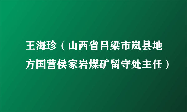 王海珍（山西省吕梁市岚县地方国营侯家岩煤矿留守处主任）