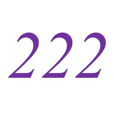 222（自然数）
